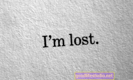 Zgubljen sem