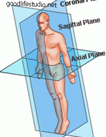 pesawat, badan, anatomi