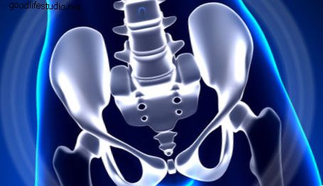 Il cordoma è il tumore osseo primario maligno più comune nella colonna vertebrale adulta