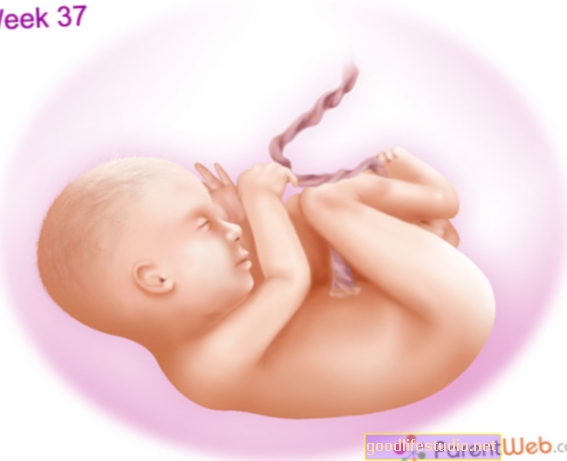 Les fœtus du 3e trimestre peuvent réagir aux images de visage
