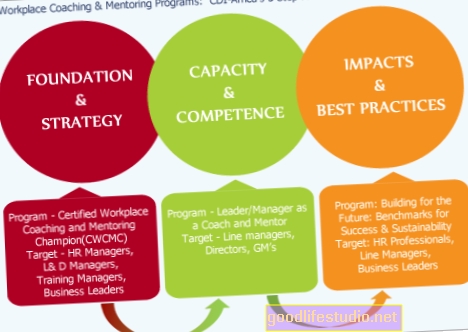 Strategi Amalan Terbaik untuk Program Mentor