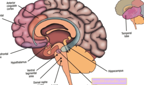 Az agyterületek azonosítása miatt egyesek krónikus fájdalmat okozhatnak