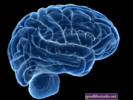 تم تشغيل المواد الأفيونية في الدماغ بواسطة الموسيقى