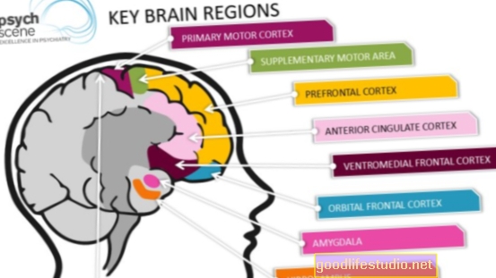 Gehirnregion in Verbindung mit introspektiven Gedanken