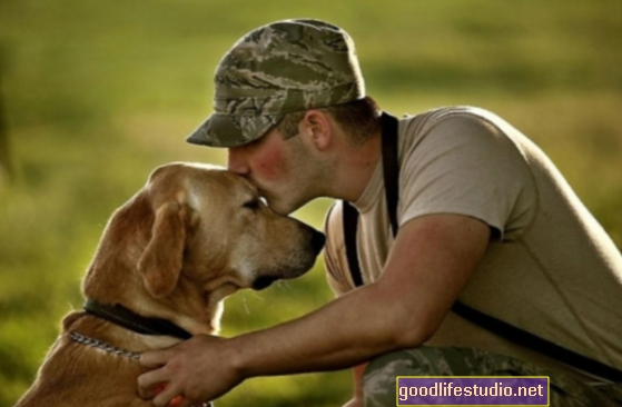 Terapia canina para el TEPT militar