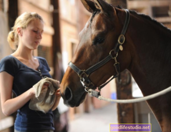 يمكن أن يفيد رعاية الخيول مرضى الزهايمر