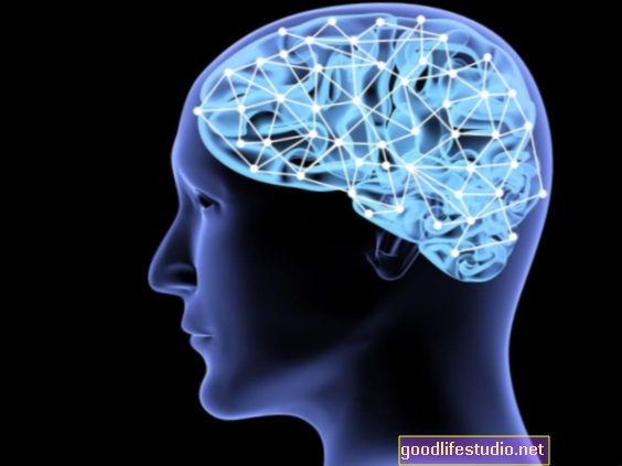 Perubahan dalam Kesambungan Otak Boleh Melindungi daripada Gangguan Bipolar
