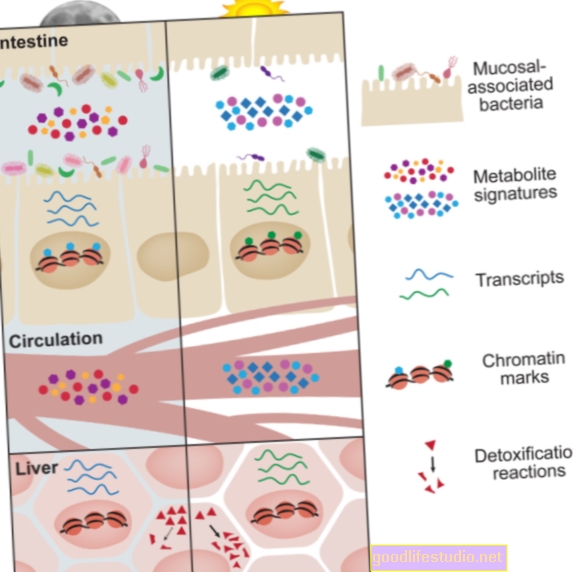 Cirkadijski ritmi črevesnih mikrobov, vezanih na debelost