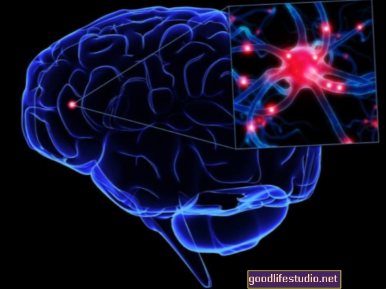 Bileşik, Yaşa Bağlı Hastalıklarda Nöron Hasarını Önlemeye Yardımcı Olabilir