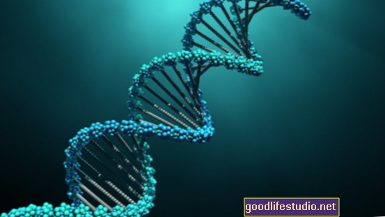 DNA Kanıtı Sakız Hastalığını Alzheimer Hastalığına Bağladı