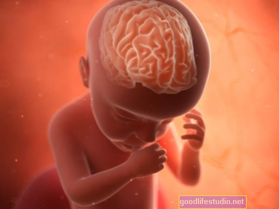 Essentieller Nährstoff kann die Entwicklung des fetalen Gehirns vor mütterlichen Infektionen schützen