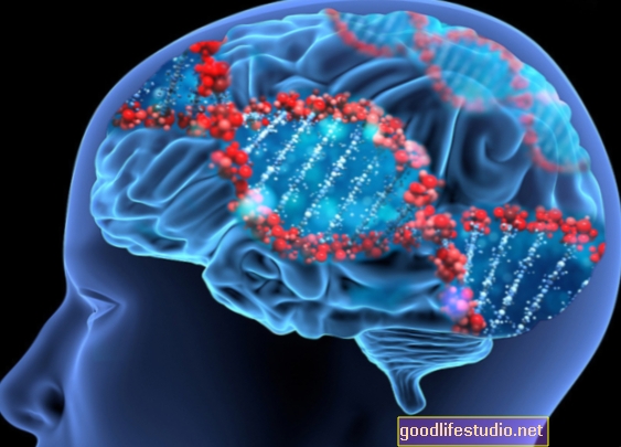 I geni alterano le connessioni cerebrali nei disturbi comportamentali rari
