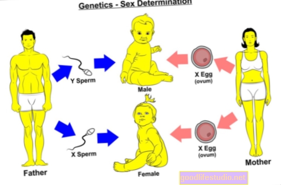 الجينات تساعد في تحديد التوجه الجنسي للمرأة