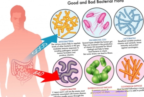 Дисфункція кишкових бактерій виявлена ​​у Паркінсона
