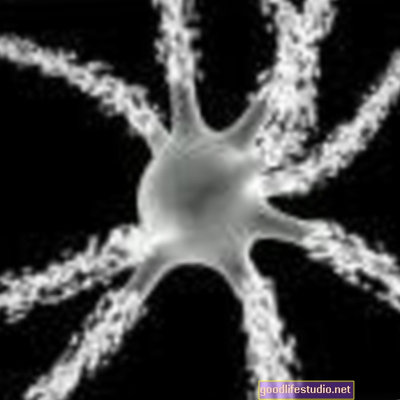 उच्च गति माइक्रोस्कोप आत्मकेंद्रित, सिज़ोफ्रेनिया में अंतर्दृष्टि प्रदान कर सकता है