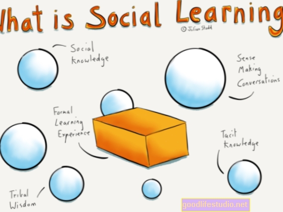 Jak sociální učení přináší inovace