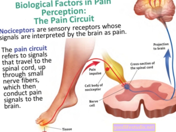Jak mozek lokalizuje bolest bez dotyku