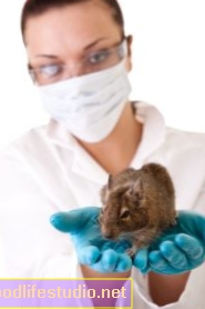 Dalam Kajian Tikus, Ketagihan Kokain Mengurangkan Dorongan Keturunan