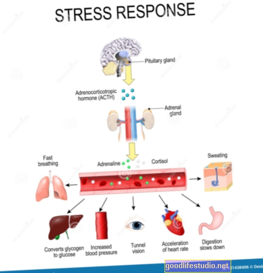 Tăng phản ứng với căng thẳng liên quan đến các vấn đề về GI ở trẻ tự kỷ