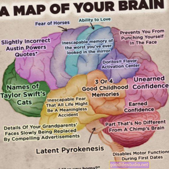 Kartendetails Wie das Gehirn visuelle Daten organisiert