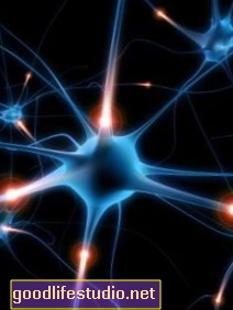 Gedächtnis durch Konkurrenz zwischen Gehirnzellen verbessert
