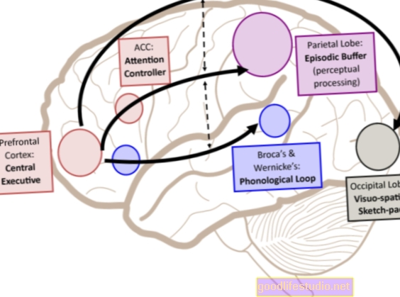 Skema Memori Membantu Otak Mengatur Rangkaian Sosial