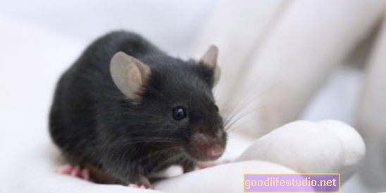 マウスの研究は、一般的な薬がアルツハイマー病のリスクを下げる可能性があることを示唆しています
