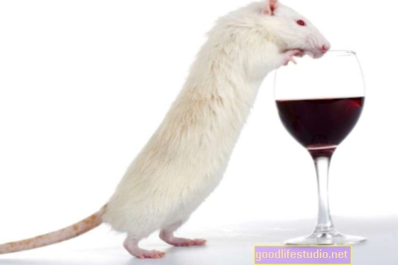 Étude sur les souris: consommation excessive d'alcool + consommation chronique d'alcool = lésions hépatiques extrêmes
