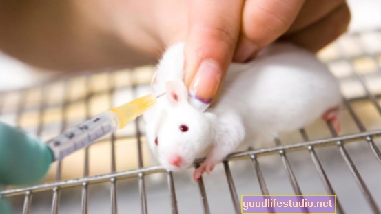 Kajian Tikus Menemukan Ubat Kanser Mungkin Berfungsi pada Penyakit Otak
