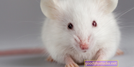 Studie na myších identifikuje nový cíl pro léčbu deprese