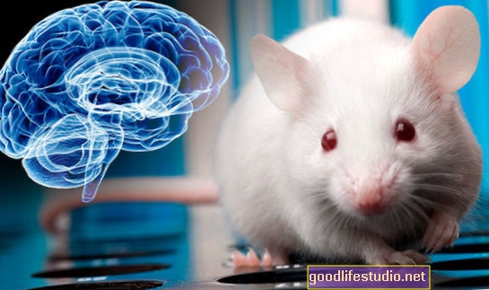 Проучването на мишките предлага специална зона за мозъка, която съхранява травматични спомени