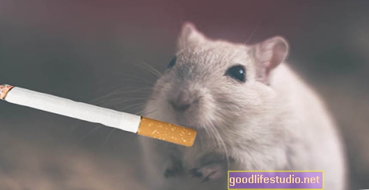Pelės tyrimas nagrinėja nikotiną kaip vartų vaistą