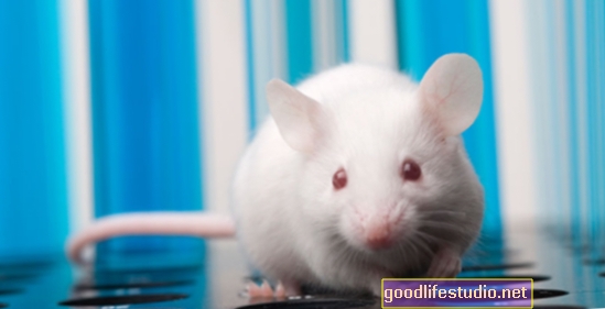 Дослідження миші виявляє область мозку, яка викликає глибокий сон