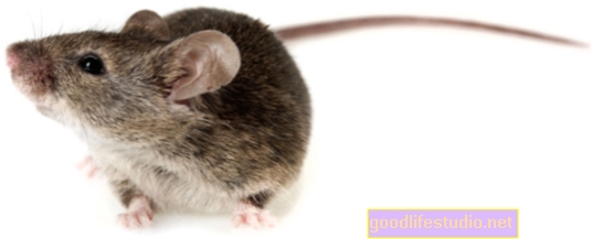 Uno studio sui topi ha scoperto che lo stress precoce può cambiare i geni nel cervello