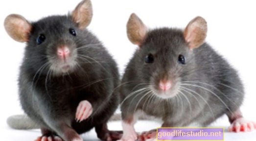 Дослідження миші дає підказки про глибокий сон