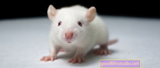 Pelės tyrimo ID baltymai, būtini elgesio lankstumui