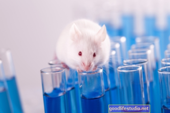 Дослідження миші пропонує нові уявлення про хворобу Альцгеймера