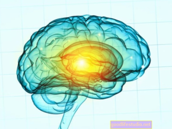 Az idegi rugalmasság kulcsfontosságú lehet az emberi intelligencia szempontjából