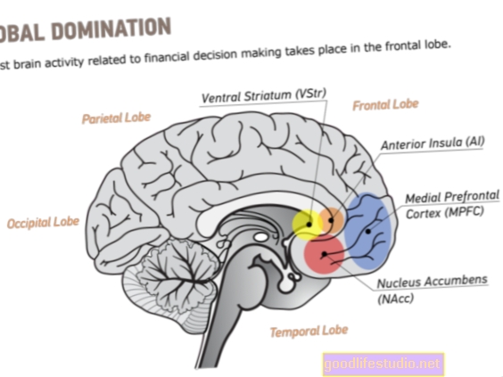 Neuroökonoomika uurib otsuste tegemise mustreid