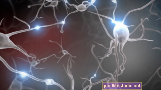 Neurono jungtys sunaikintos anksti Alzheimerio liga