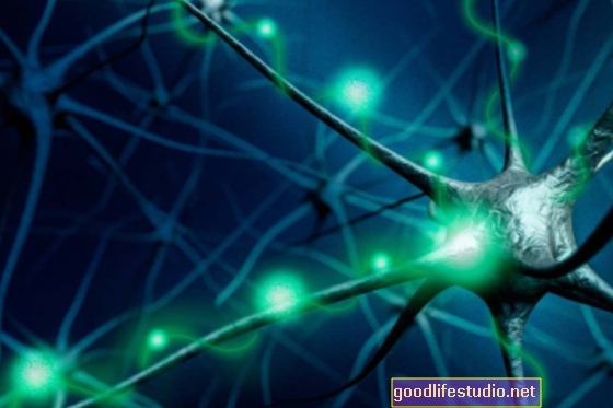 Neironu ritmi ietekmē atmiņu