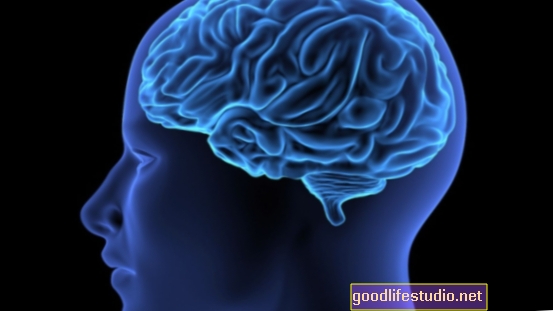 Yeni Veriler Beynin Görsel Bilgiyi Beklenenden Daha Hızlı Tanımlayabildiğini Gösteriyor