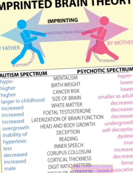 Nove teorije o autizmu, Aspergerov sindrom