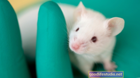 Переїдання чи кокаїн? Дослідження мишей показує, що нейрони штовхають ту чи іншу сторону