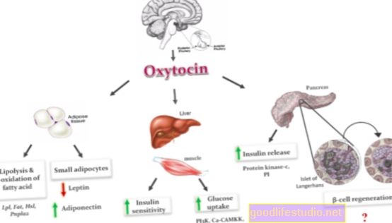 Oksitocino receptoriai gali vaidinti persivalgymo vaidmenį