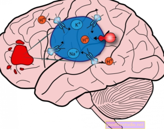 Proteine ​​implicate nei cambiamenti delle cellule cerebrali da stress