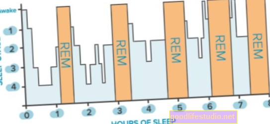 REM miegs var būt kritisks atmiņas veidošanai jaunajās smadzenēs