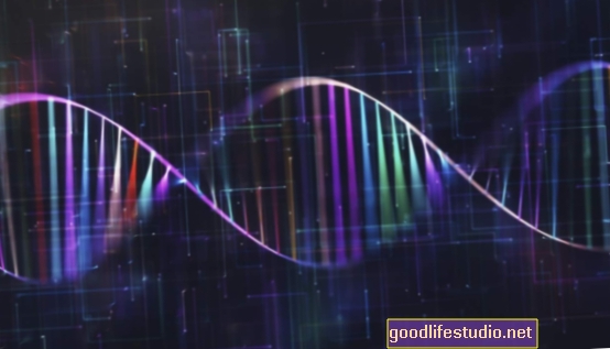 Forscher suchen nach Genen, die mit Intelligenz verbunden sind