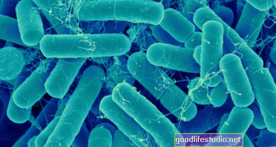 علماء يربطون بين بكتيريا الأمعاء المعينة والاكتئاب