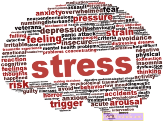 Se muestra que el estrés afecta el desarrollo del cerebro